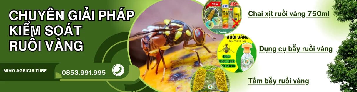 Chuyên Giải Pháp Kiểm Soát Ruồi Vàng - MiMo Agriculture