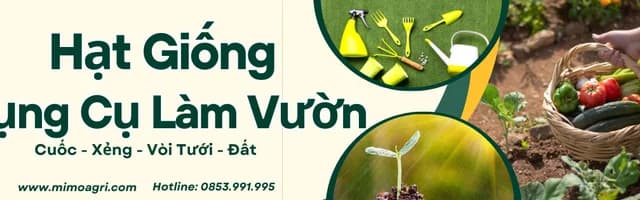 Hạt Giống Dụng Cụ Làm Vườn - Cuốc, Xẻng, Vòi Tưới, Đất